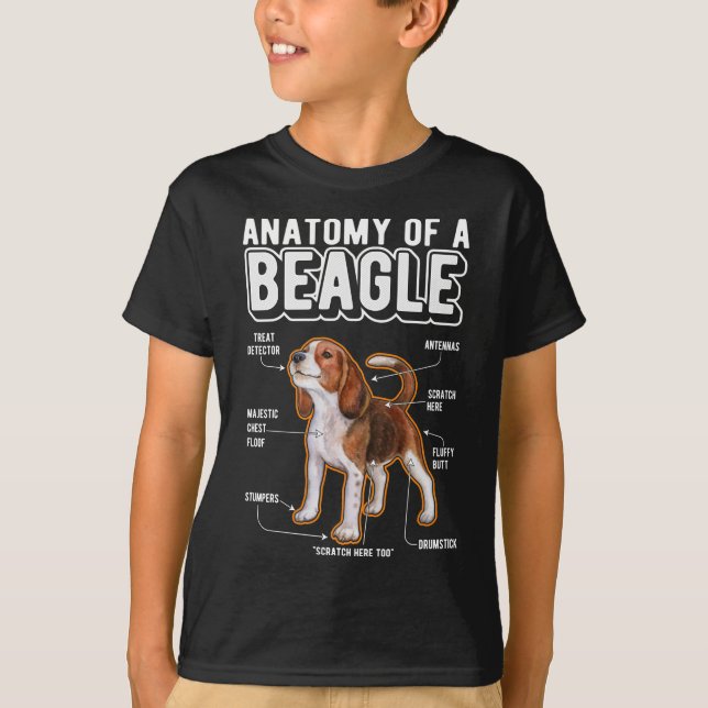 T-shirt Anatomie beagle drôle chien (Devant)