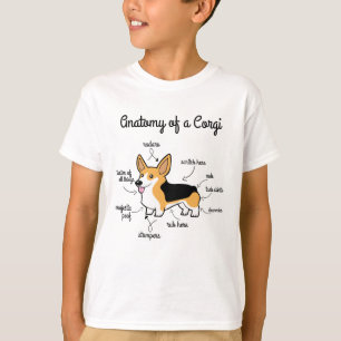 T-shirt Anatomie de corgi