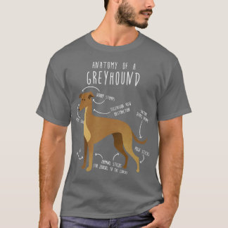T-shirt Anatomie du chien de Greyhound