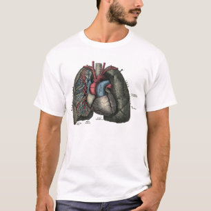 T-shirt Anatomie du coeur humain 1902 Vintage