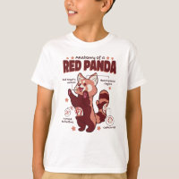 Anatomie d'un Amoureux des animaux de Panda rouge