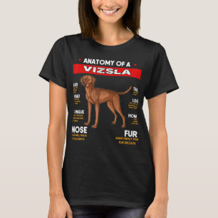 T-shirt Anatomie D'Un Chien De Vizsla Amateurs De Chemises