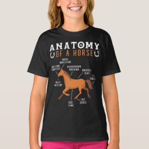T-shirt Anatomie Équestre D'Un Amoureux Du Cheval