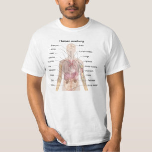 T-shirt Anatomie humaine