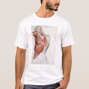 T-shirt Anatomie humaine ; Muscles du torse et de l'épaule