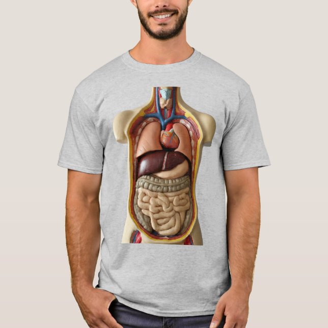 T-shirt Anatomie organes internes Transparent personne T-s (Devant)