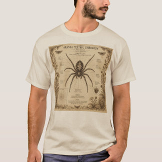 T-shirt Anatomie Vintage d'Araignée