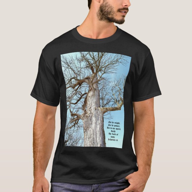 T-shirt Ancien Ash Zacharie 4:6 (Devant)
