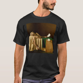 T-shirt Andrew Bird  My Finest Work Yet Gift For Fans For 