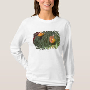 T-shirt Anemonefish rose dans l'actinie de Magnificant