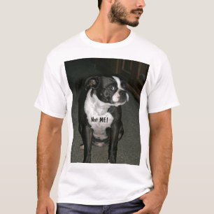 T-shirt Ange d'innocent de Boston Terrier