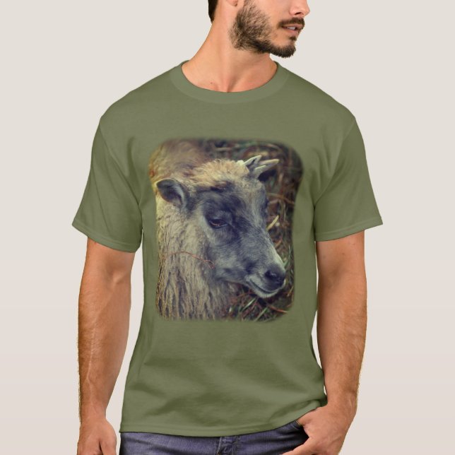 T-shirt Animal de ferme de moutons mignon (Devant)