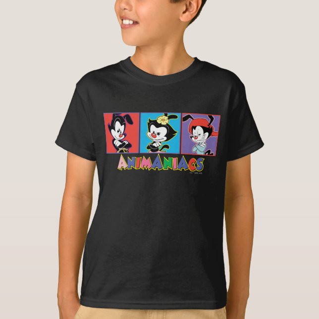 T-shirt Animaniacs | Graphique de panneau Yakko, Dot et Wa (Devant)