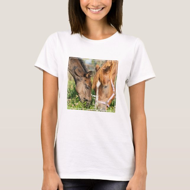 T-shirt Animaux de bébés cutest | Colt à cheval (Devant)