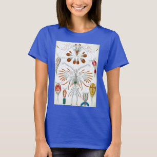T-shirt Animaux de l'océan vintage, Copepoda par Ernst Hae