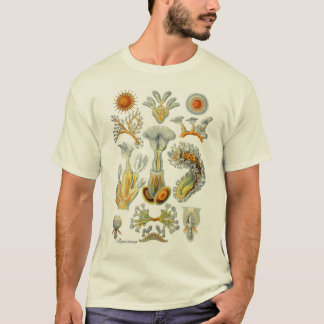 T-shirt Animaux de mousse
