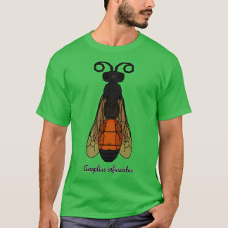T-shirt Anoplius infuscatus