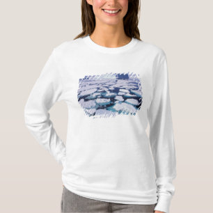 T-shirt Antarctique, débit de glace.