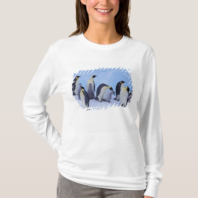 T-shirt Antarctique, Emporer Penguins (Devant)