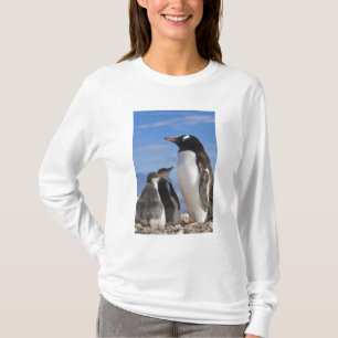 T-shirt Antarctique, Neko Cove (Port). Pingouin Gentoo 2