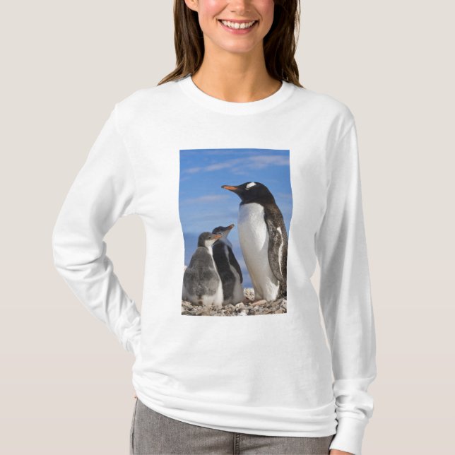 T-shirt Antarctique, Neko Cove (Port). Pingouin Gentoo 2 (Devant)
