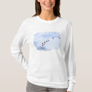 T-shirt Antarctique, péninsule Antarctique. Écran