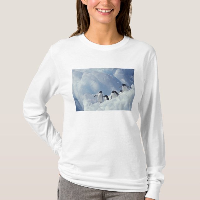 T-shirt Antarctique. Pingouins d'Adelie (Devant)