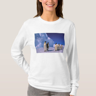 T-shirt Antarctique, Territoire antarctique australien, 7