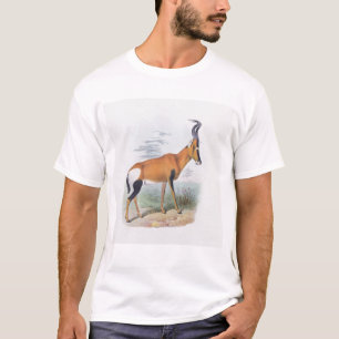 T-shirt Antilope, "du livre des antilopes",