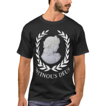 Antinous le dieu de Rome et favori d'Hadrien -