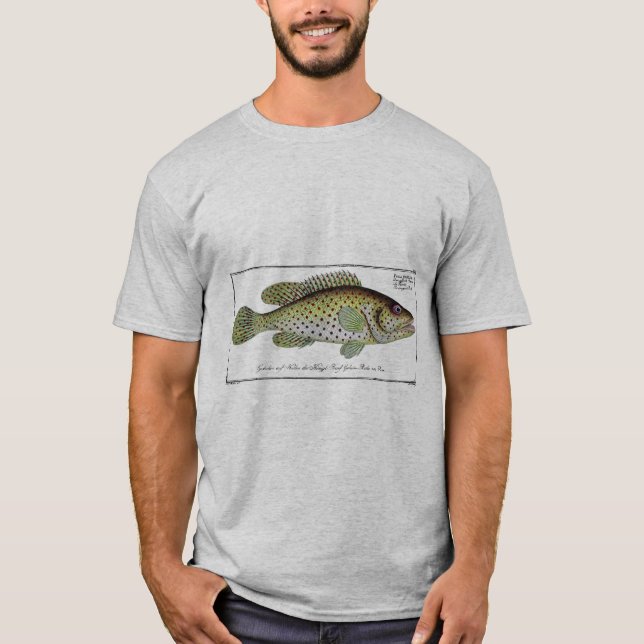 T-shirt Antique Histoire naturelle Poisson no 1 (Devant)