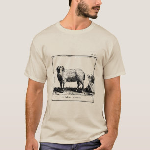 T-shirt Antique Merino Sheep