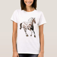 Appaloosa Horse
