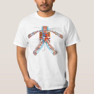 T-shirt Appareil circulatoire