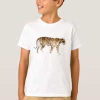 Aquarelle Tigre Marcher