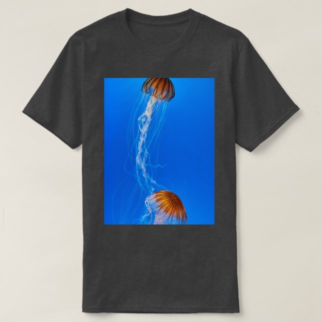 T-shirt Aquarium d'Osaka Kaiyukan (Design devant)