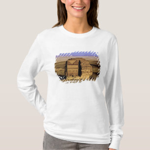 T-shirt Arabie saoudite, site de Madain Saleh, ancien