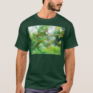 T-shirt Araignée de verger à orbite - Leucauge venusta
