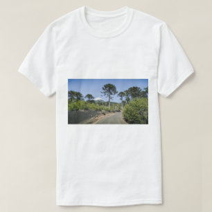 T-shirt Araucarias près d'un volcan au Chili