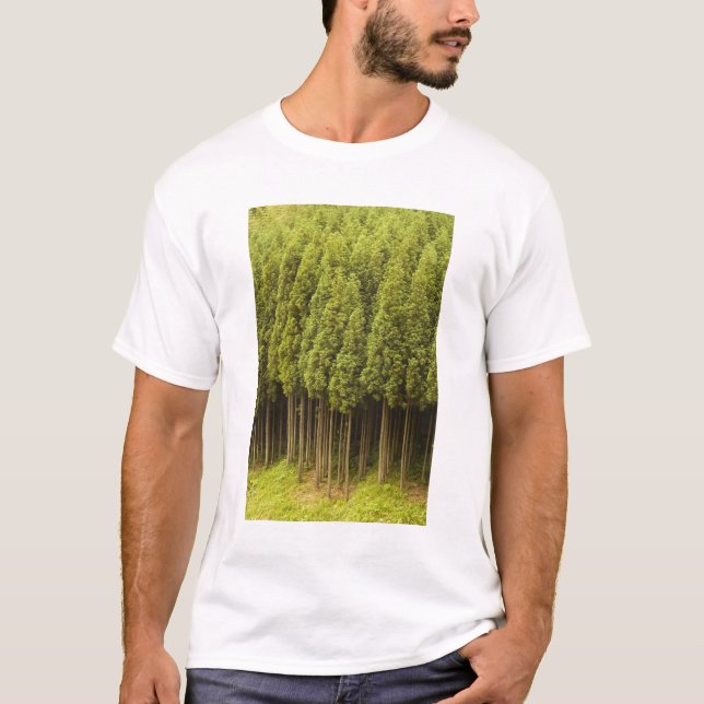 T-shirt Arbres de cèdre de Koya Sugi (Devant)