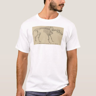 T-shirt Archaeotherium