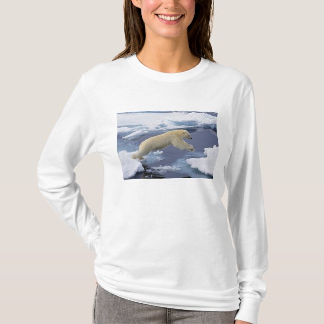 T-shirt Arctique, Svalbard, Ours polaire s'étendant (Devant)
