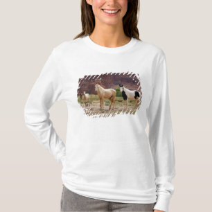 T-shirt Arizona, Navajo réserve indienne, Chinle,