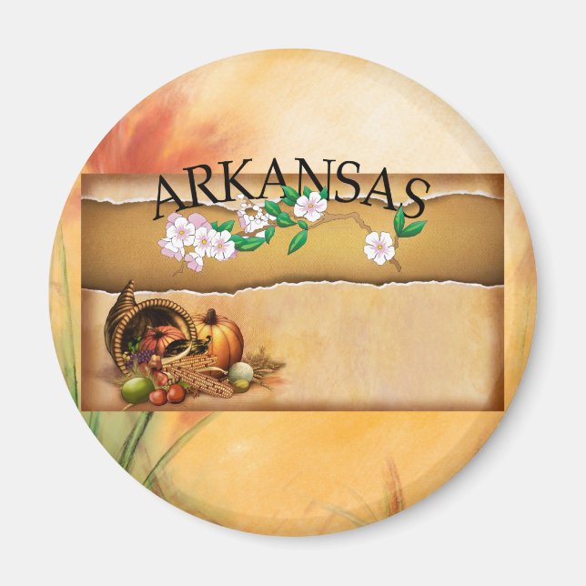 T-SHIRT Arkansas Magnete Magnet (Vorne)