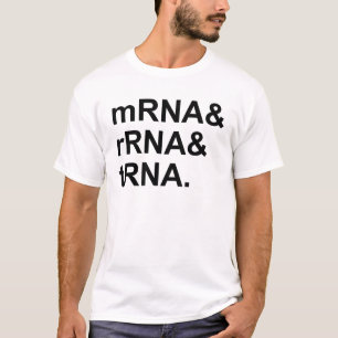 T-shirt ARNr m   Types d'ARN