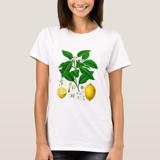 T-shirt Art 7 botanique d'impression No. de citron (Devant)