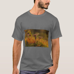 T-Shirt Art Champignon Magique