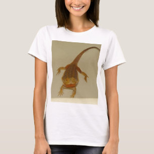 T-shirt Artemis le dragon barbu