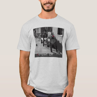 T-shirt Ashland, OU # !