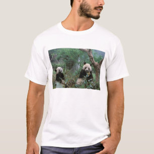 T-shirt Asie, Chine, sanctuaire des pandas géants de Cheng
